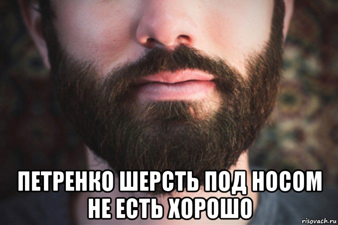  петренко шерсть под носом не есть хорошо