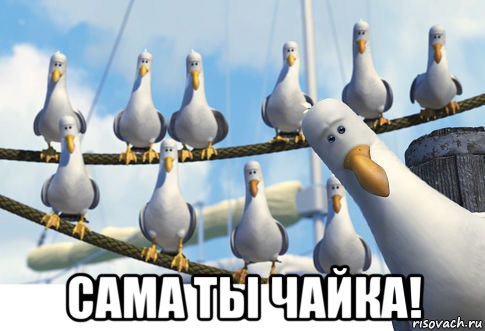  сама ты чайка!