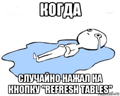 когда случайно нажал на кнопку "refresh tables", Мем   человек в луже плачет