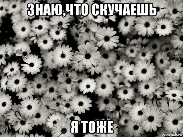 знаю,что скучаешь я тоже