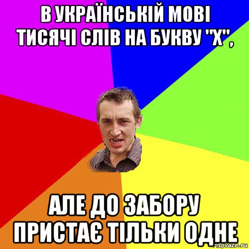 в українській мові тисячі слів на букву "х", але до забору пристає тільки одне, Мем Чоткий паца