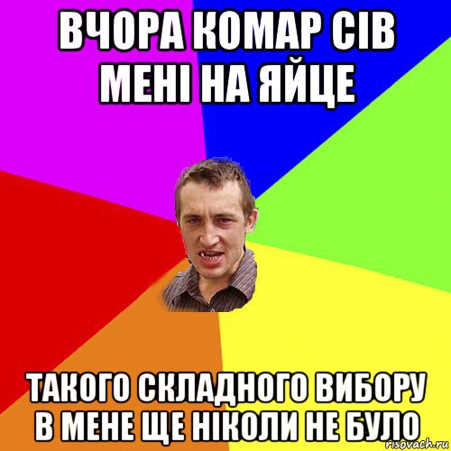 вчора комар сів мені на яйце такого складного вибору в мене ще ніколи не було, Мем Чоткий паца