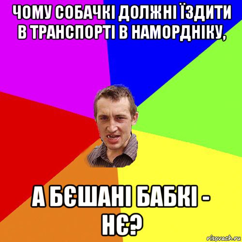 чому собачкі должні їздити в транспорті в намордніку, а бєшані бабкі - нє?, Мем Чоткий паца