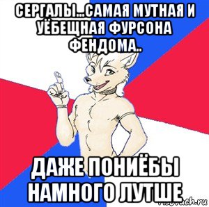 сергалы...самая мутная и уёбещная фурсона фендома.. даже пониёбы намного лутше, Мем Да я фурь и мне насрать на ваше мнёние