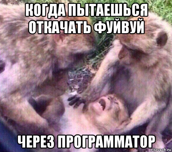 когда пытаешься откачать фуйвуй через программатор, Мем Дайте мне спокойно умереть