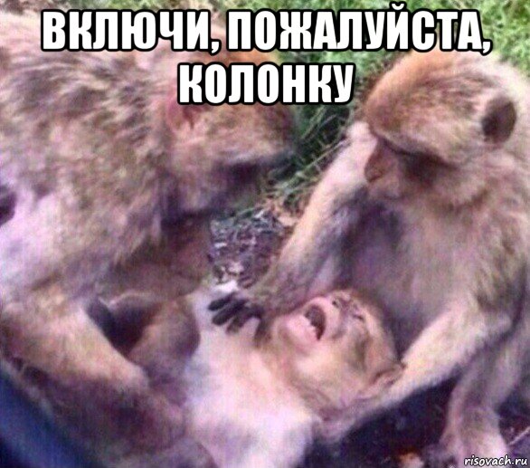 включи, пожалуйста, колонку , Мем Дайте мне спокойно умереть