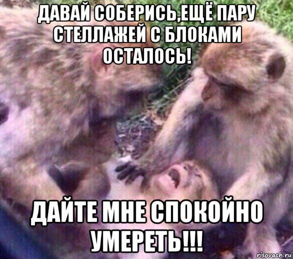 давай соберись,ещё пару стеллажей с блоками осталось! дайте мне спокойно умереть!!!, Мем Дайте мне спокойно умереть