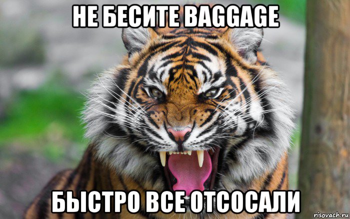 не бесите baggage быстро все отсосали