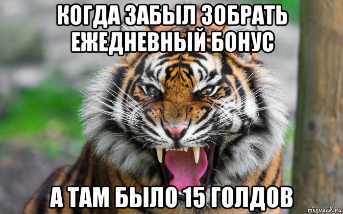 когда забыл зобрать ежедневный бонус а там было 15 голдов, Мем ДЕРЗКИЙ ТИГР