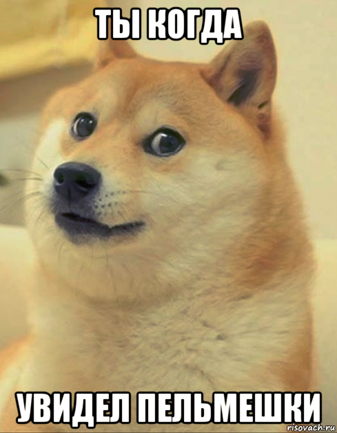 ты когда увидел пельмешки, Мем doge woof