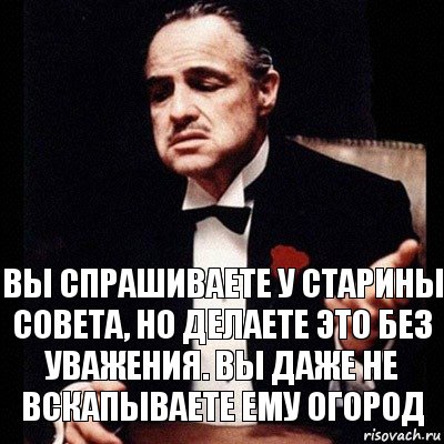 вы спрашиваете у старины совета, но делаете это без уважения. Вы даже не вскапываете ему огород, Комикс Дон Вито Корлеоне 1