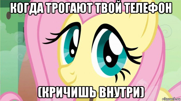 когда трогают твой телефон (кричишь внутри), Мем DONT TOUCH MY FLUTTERSHY SON OF 