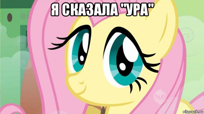 я сказала "ура" , Мем DONT TOUCH MY FLUTTERSHY SON OF 