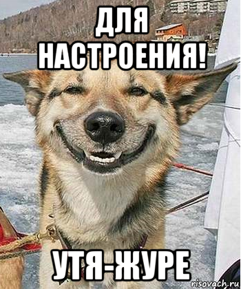 для настроения! утя-журе