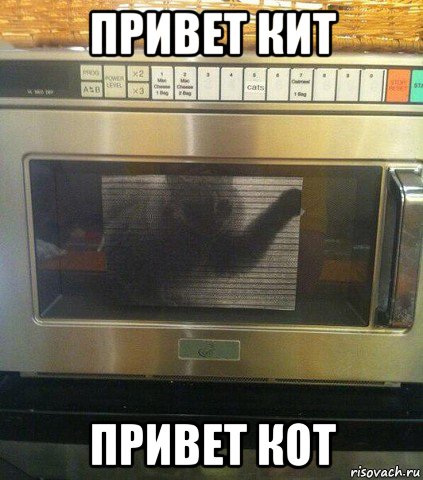 привет кит привет кот, Мем Духовка