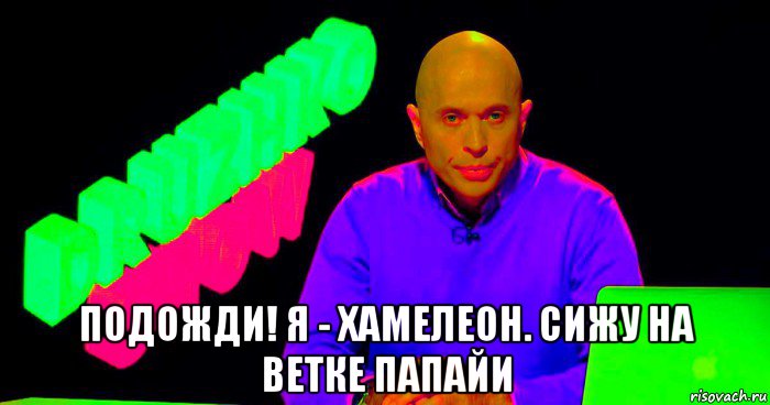  подожди! я - хамелеон. сижу на ветке папайи