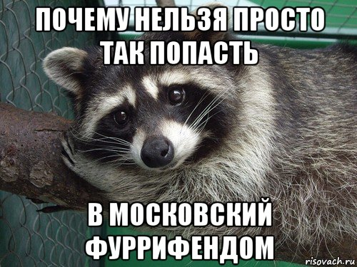 почему нельзя просто так попасть в московский фуррифендом