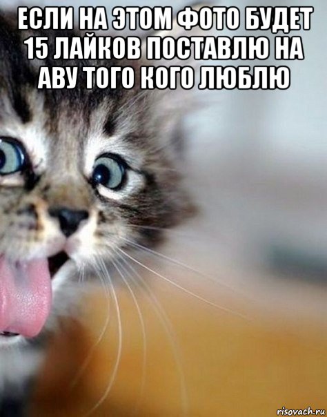 если на этом фото будет 15 лайков поставлю на аву того кого люблю 