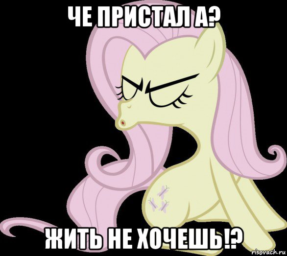 че пристал а? жить не хочешь!?