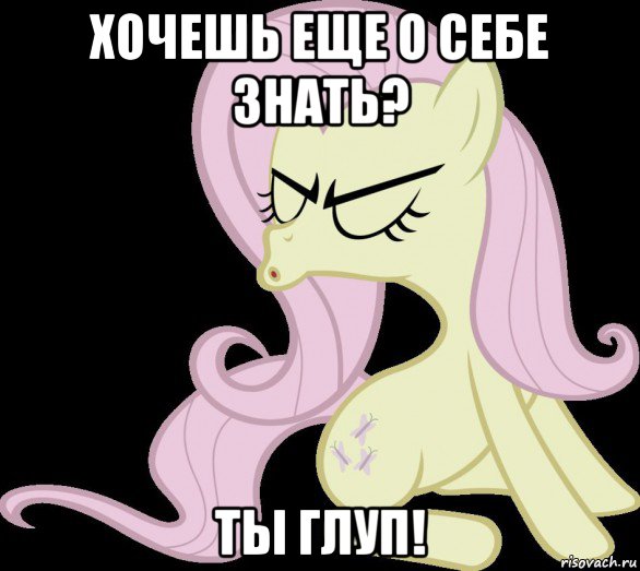 хочешь еще о себе знать? ты глуп!