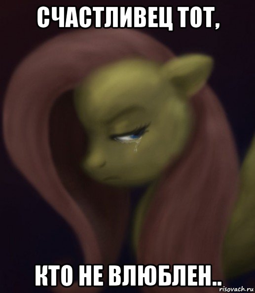 счастливец тот, кто не влюблен.., Мем Fluttershy