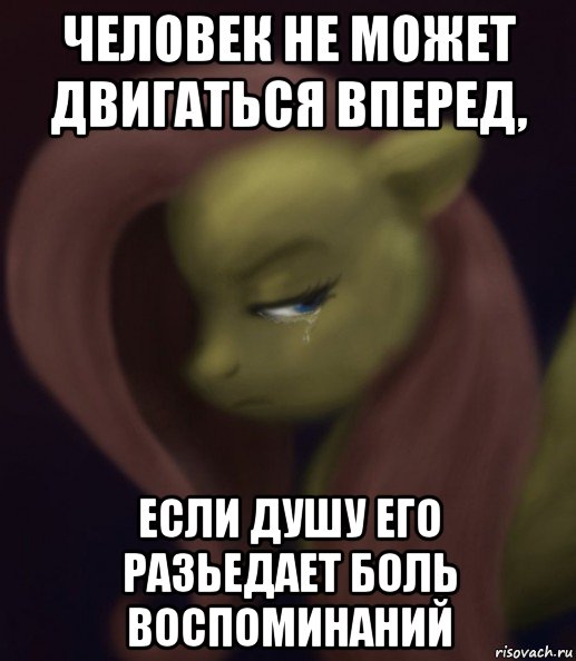 человек не может двигаться вперед, если душу его разьедает боль воспоминаний, Мем Fluttershy