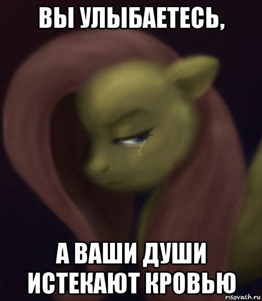 вы улыбаетесь, а ваши души истекают кровью, Мем Fluttershy