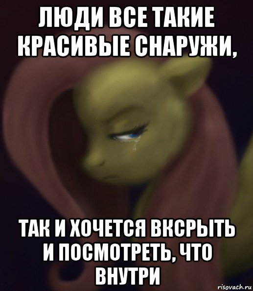 люди все такие красивые снаружи, так и хочется вксрыть и посмотреть, что внутри, Мем Fluttershy