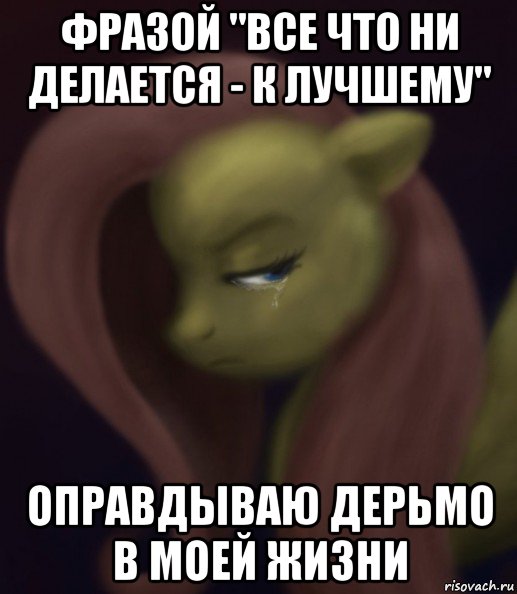 фразой "все что ни делается - к лучшему" оправдываю дерьмо в моей жизни, Мем Fluttershy