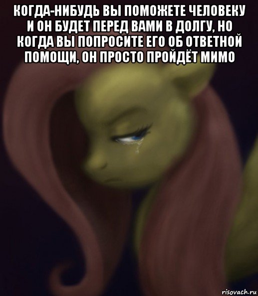 когда-нибудь вы поможете человеку и он будет перед вами в долгу, но когда вы попросите его об ответной помощи, он просто пройдёт мимо , Мем Fluttershy