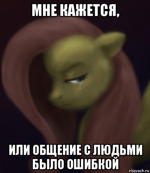 мне кажется, или общение с людьми было ошибкой, Мем Fluttershy