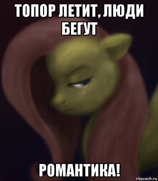 топор летит, люди бегут романтика!, Мем Fluttershy