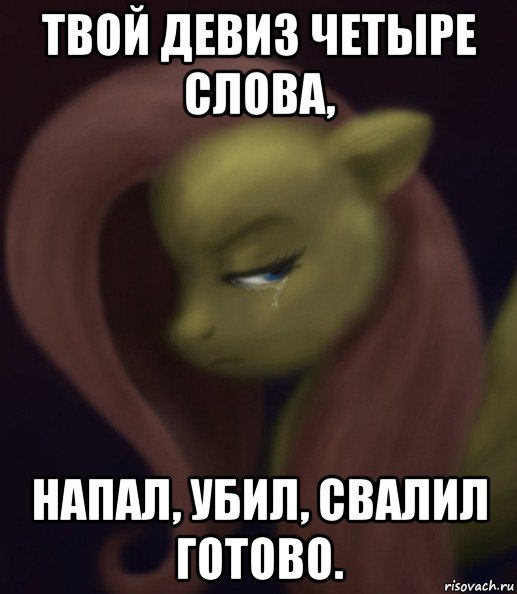 твой девиз четыре слова, напал, убил, свалил готово.