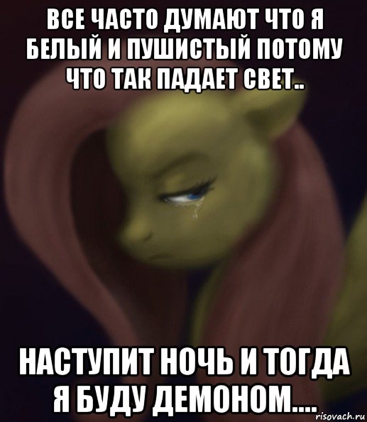 все часто думают что я белый и пушистый потому что так падает свет.. наступит ночь и тогда я буду демоном...., Мем Fluttershy