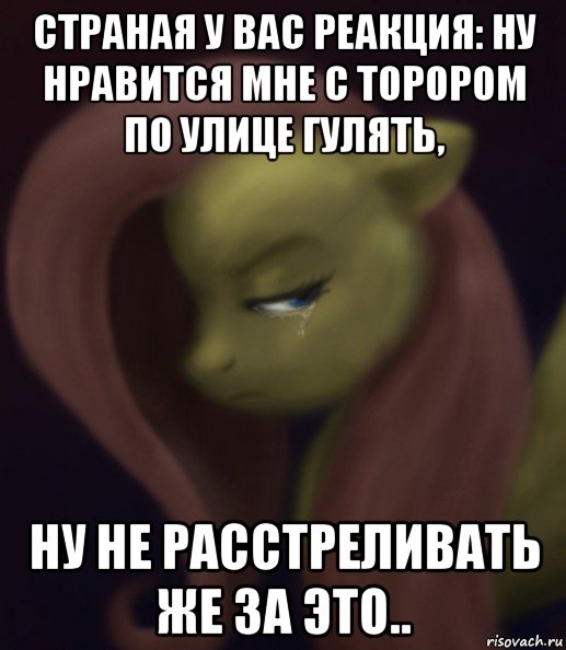 страная у вас реакция: ну нравится мне с торором по улице гулять, ну не расстреливать же за это..