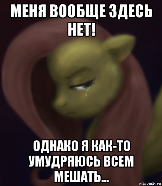 меня вообще здесь нет! однако я как-то умудряюсь всем мешать..., Мем Fluttershy