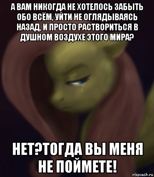 а вам никогда не хотелось забыть обо всём, уйти не оглядываясь назад, и просто раствориться в душном воздухе этого мира? нет?тогда вы меня не поймете!, Мем Fluttershy