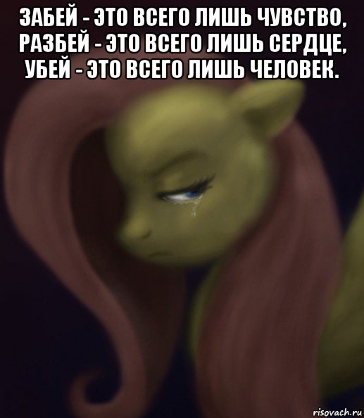 забей - это всего лишь чувство, разбей - это всего лишь сердце, убей - это всего лишь человек. , Мем Fluttershy