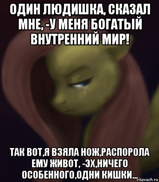 один людишка, сказал мне, -у меня богатый внутренний мир! так вот,я взяла нож,распорола ему живот, -эх,ничего особенного,одни кишки..., Мем Fluttershy