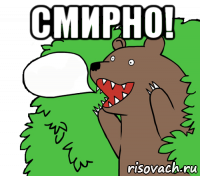 смирно! 
