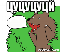 цуцуцуцй 
