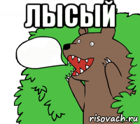 лысый 