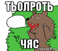 тьолроть чяс