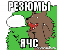 резюмы ячс