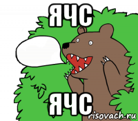 ячс ячс