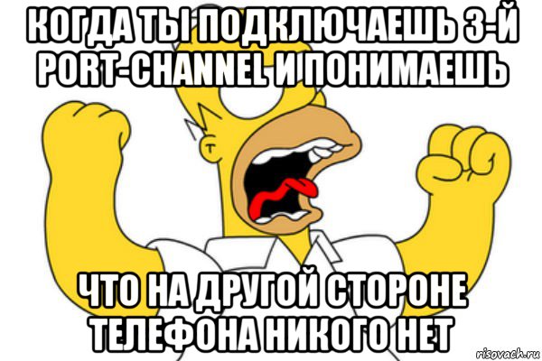 когда ты подключаешь 3-й port-channel и понимаешь что на другой стороне телефона никого нет, Мем Разъяренный Гомер
