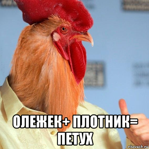  олежек+ плотник= петух