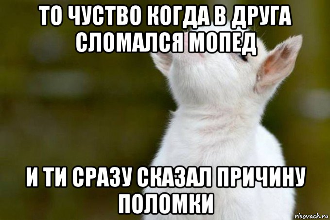 то чуство когда в друга сломался мопед и ти сразу сказал причину поломки, Мем  Гордый козленок