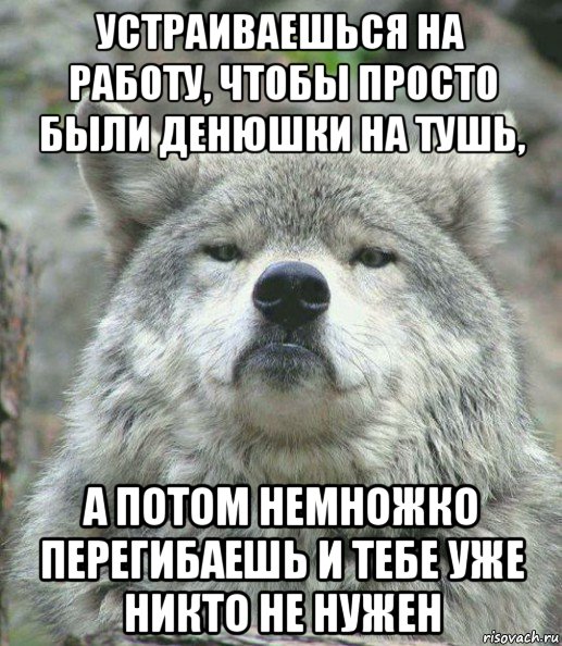 устраиваешься на работу, чтобы просто были денюшки на тушь, а потом немножко перегибаешь и тебе уже никто не нужен, Мем    Гордый волк