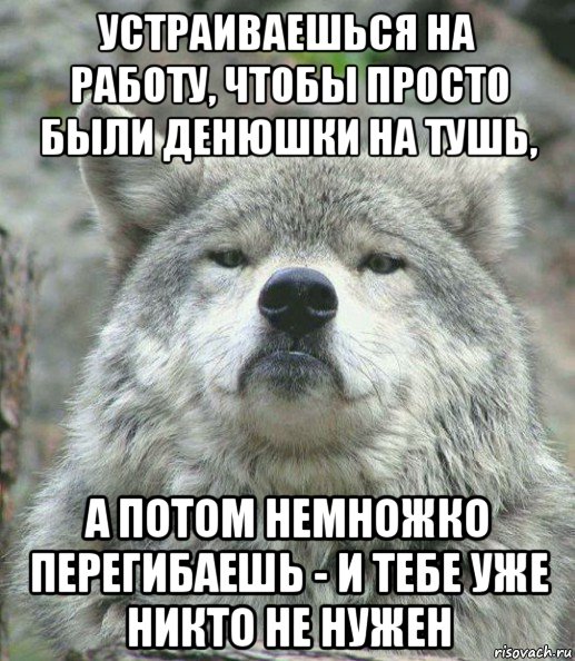 устраиваешься на работу, чтобы просто были денюшки на тушь, а потом немножко перегибаешь - и тебе уже никто не нужен, Мем    Гордый волк